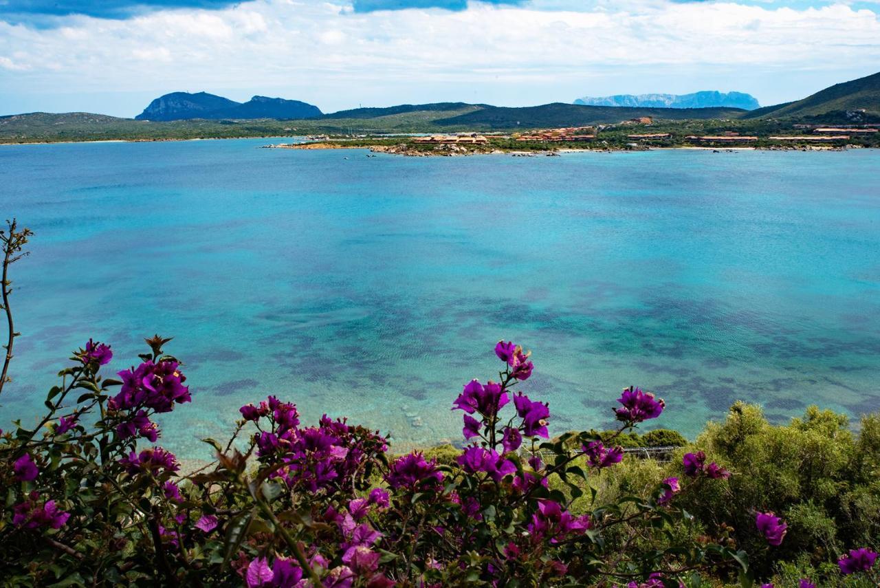 Casa Valery Wonderful Sea View Διαμέρισμα Porto Rotondo Εξωτερικό φωτογραφία