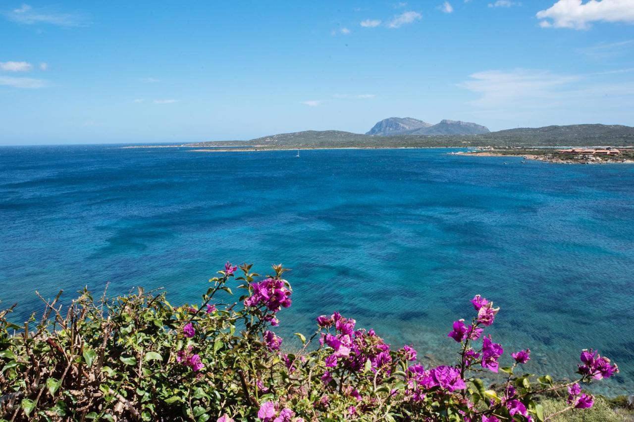Casa Valery Wonderful Sea View Διαμέρισμα Porto Rotondo Εξωτερικό φωτογραφία