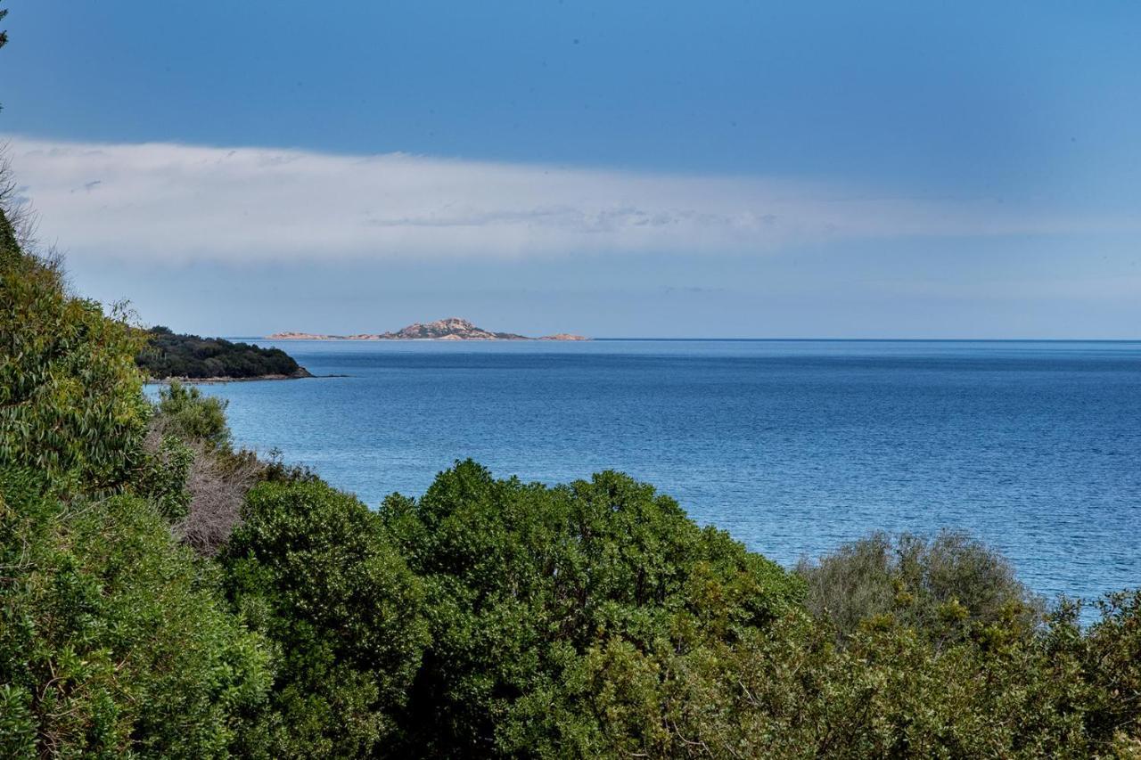Casa Valery Wonderful Sea View Διαμέρισμα Porto Rotondo Εξωτερικό φωτογραφία