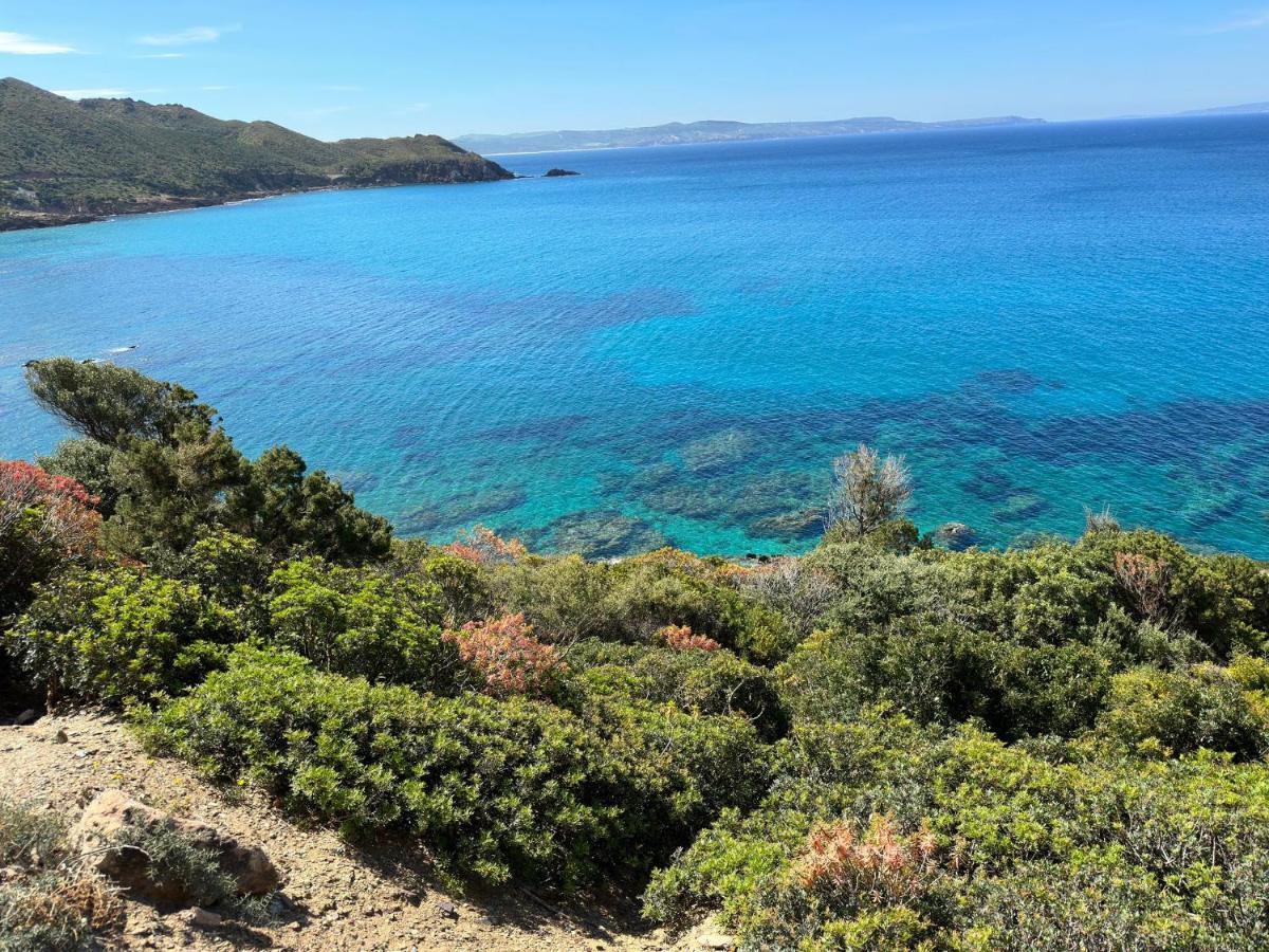 Casa Valery Wonderful Sea View Διαμέρισμα Porto Rotondo Εξωτερικό φωτογραφία