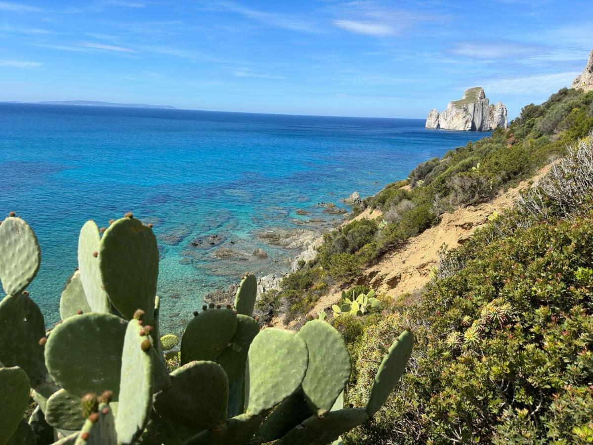 Casa Valery Wonderful Sea View Διαμέρισμα Porto Rotondo Εξωτερικό φωτογραφία