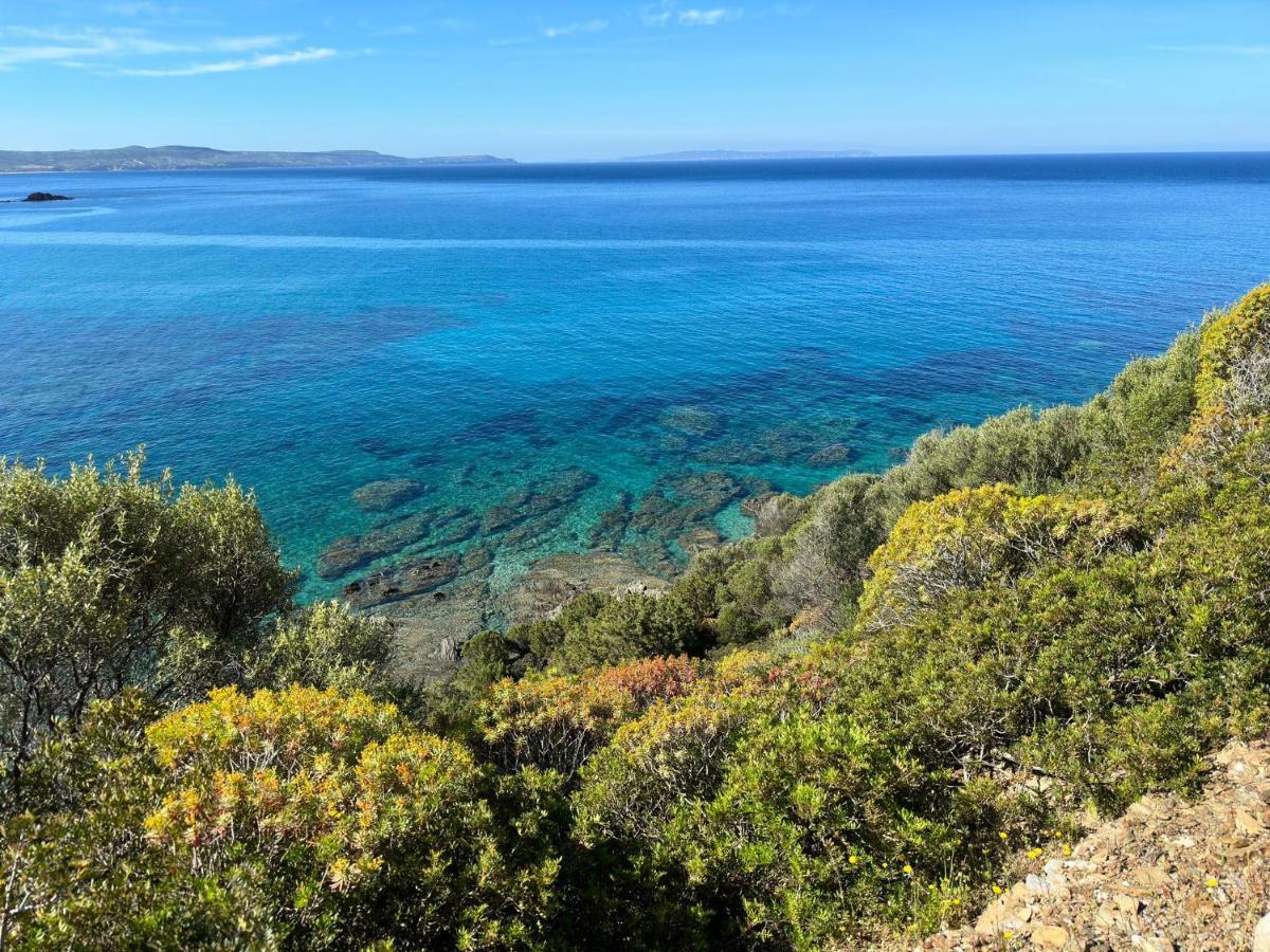 Casa Valery Wonderful Sea View Διαμέρισμα Porto Rotondo Εξωτερικό φωτογραφία