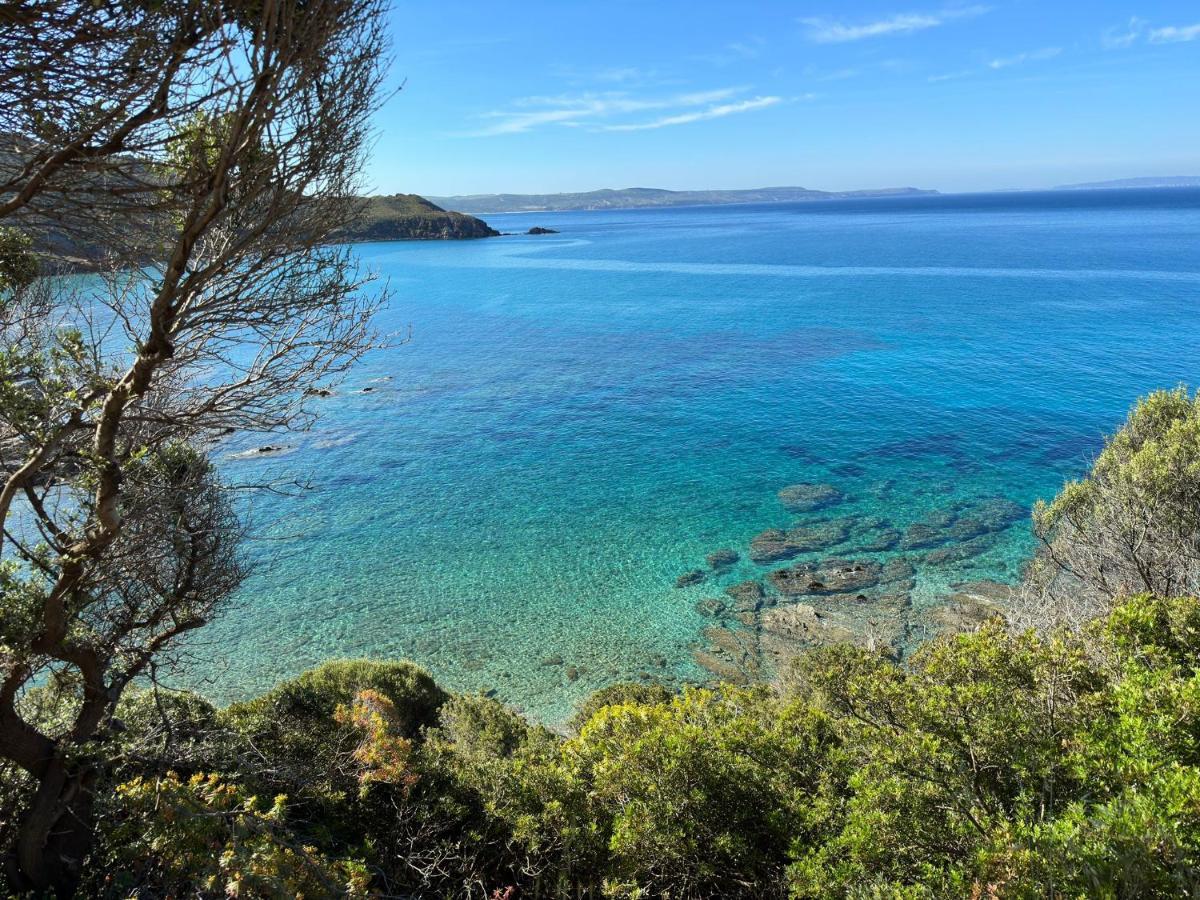 Casa Valery Wonderful Sea View Διαμέρισμα Porto Rotondo Εξωτερικό φωτογραφία