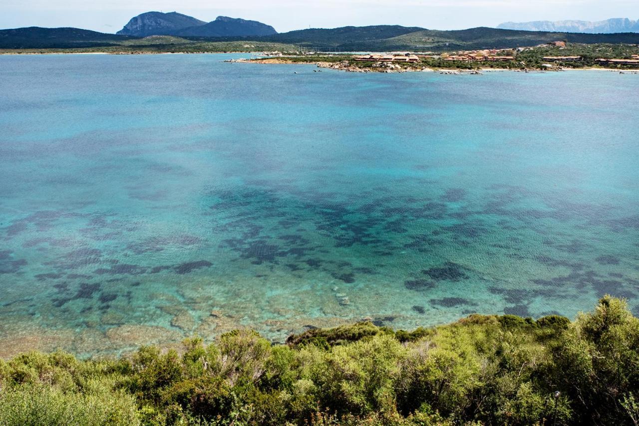 Casa Valery Wonderful Sea View Διαμέρισμα Porto Rotondo Εξωτερικό φωτογραφία